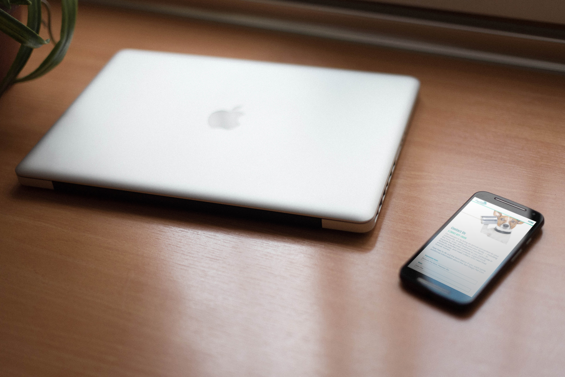 SDPC — responsive product story 1