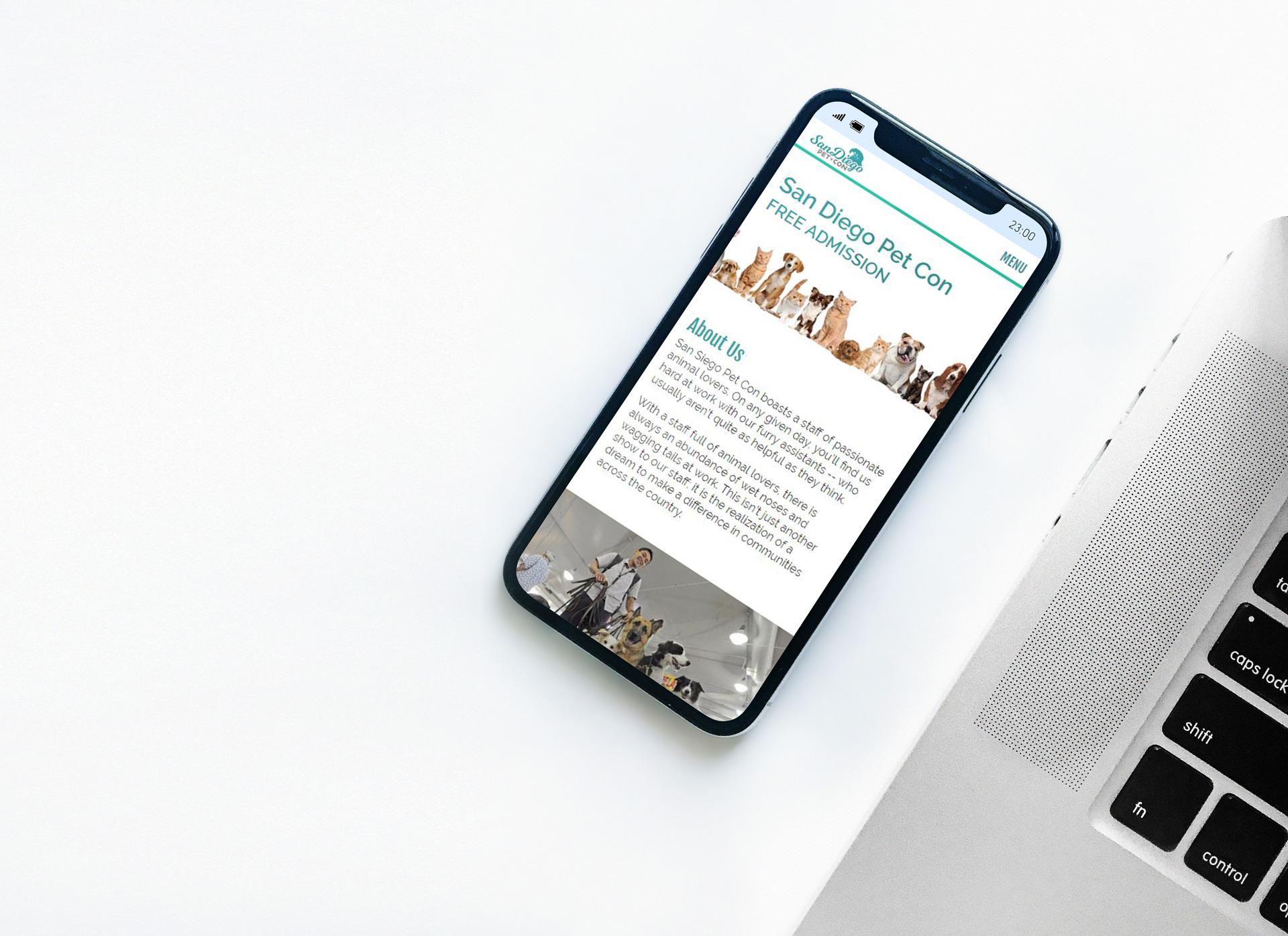 SDPC — responsive product story 2