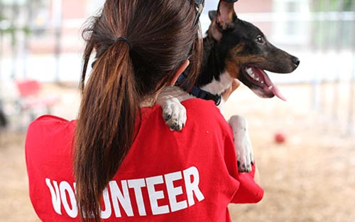 Lady holding a dog on shoulder.